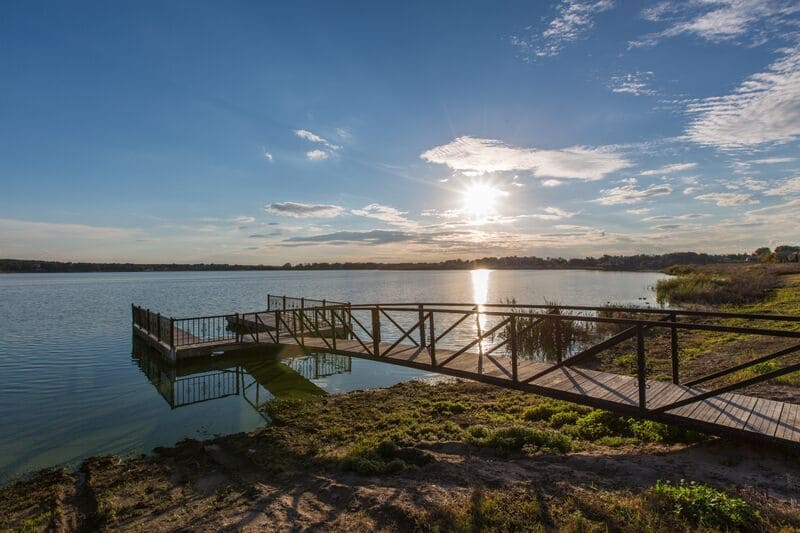 Dock
